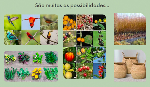 Sociobiodiversidade